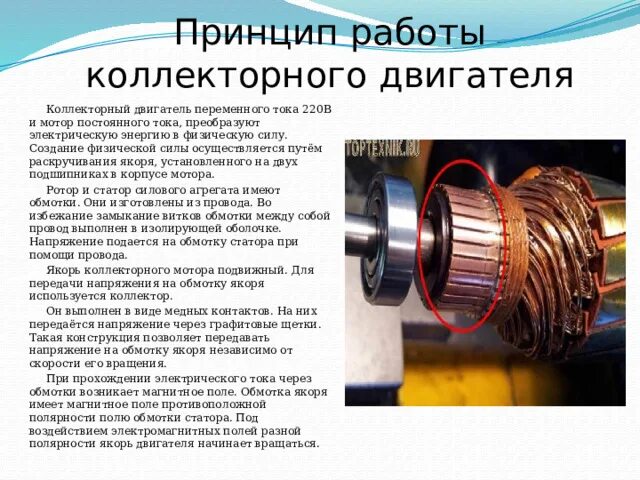 Подключение коллекторного двигателя переменного тока МДК 02.01 Типовые технологические процессы обслуживания бытовых машин и приборов