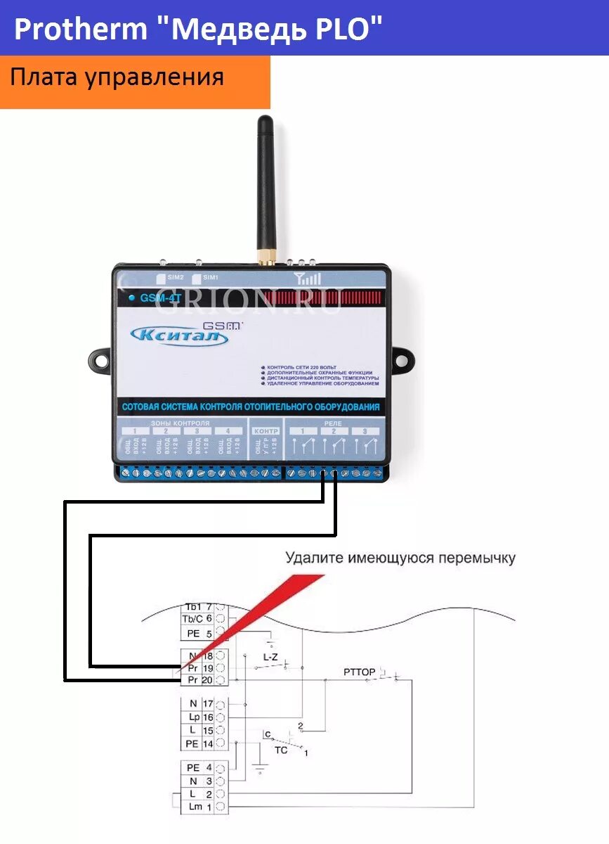Подключение кситал к котлу Схема подключения котла Protherm Медведь PLO к модулю Кситал GSM