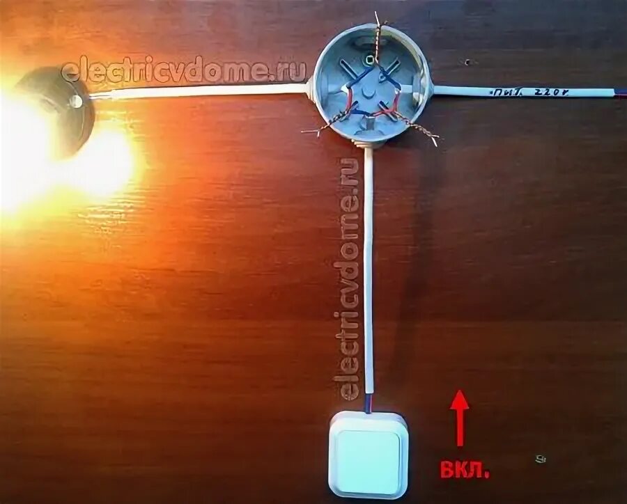 Подключение лампочки без распределительной коробки Подключение одноклавишного выключателя Электричество, Лампочка, Электрика