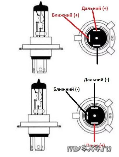 Подключение лампочки h 4 ✵ Колодки подключения фар Cargen ✵ - Mitsubishi Galant (8G), 3,5 л, 2000 года эл