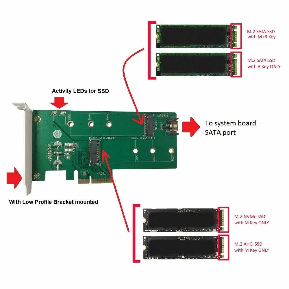 Подключение m 2 Vantec M.2 NVMe + M.2 SATA SSD PCIe x4 адаптер 844767022772 eBay