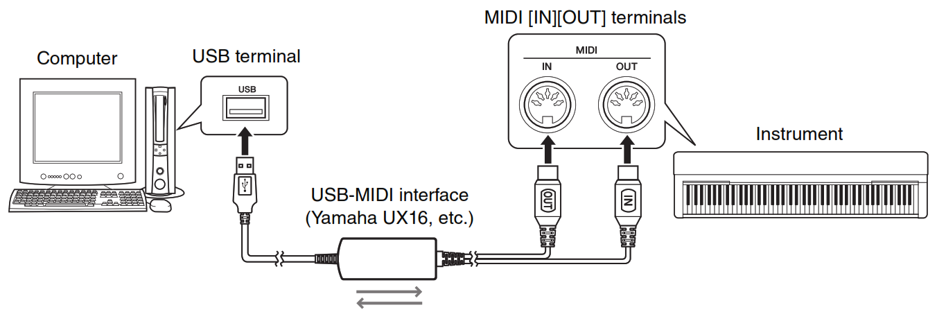 Подключение миди к компьютеру Midollo Cellula somatica Parana River ux16 usb midi interface driver download Sa