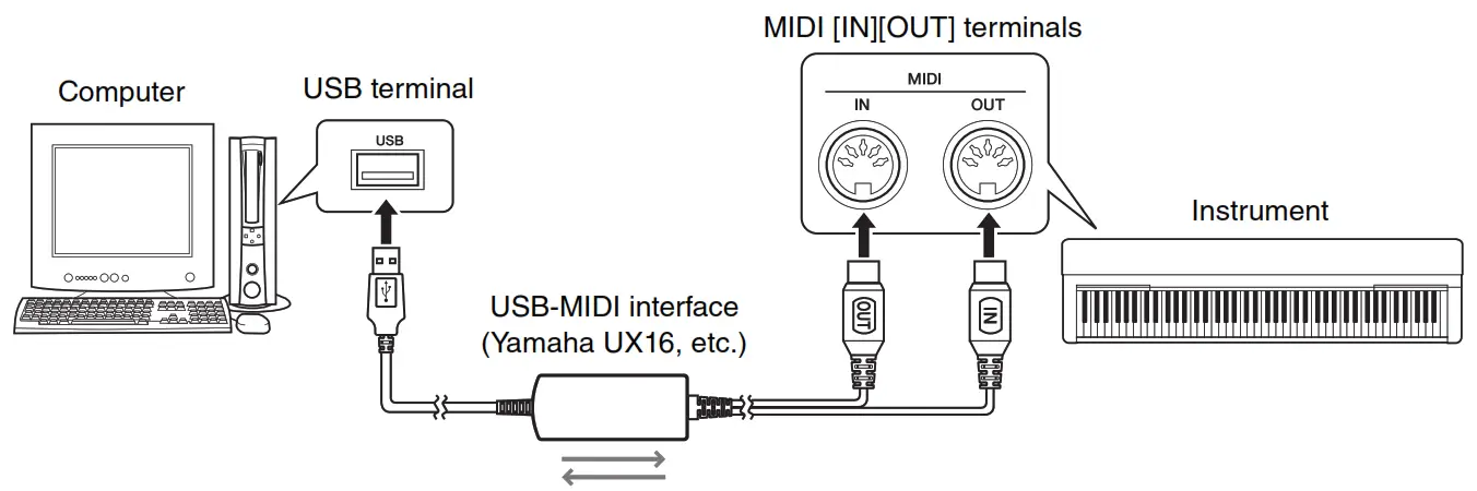 Подключение midi устройств Midollo Cellula somatica Parana River ux16 usb midi interface driver download Sa