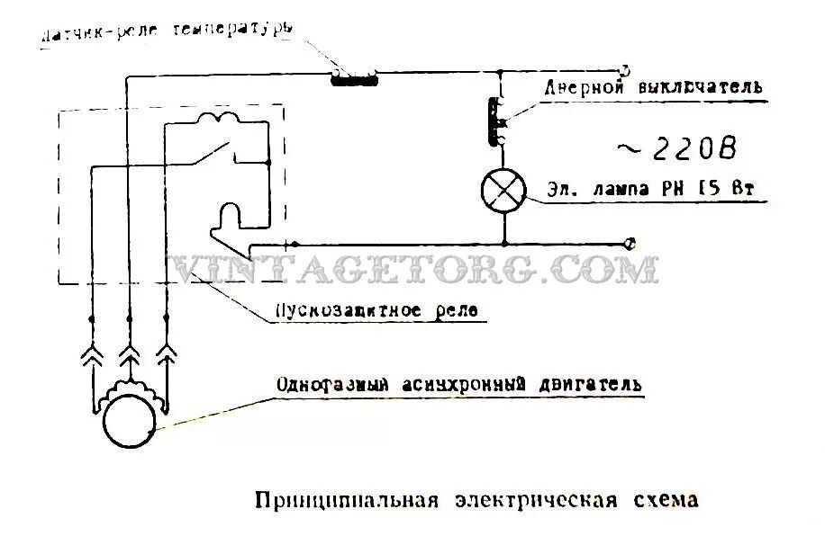 Подключение морозильной камеры бирюса Эл схема морозильной камеры бирюса фото