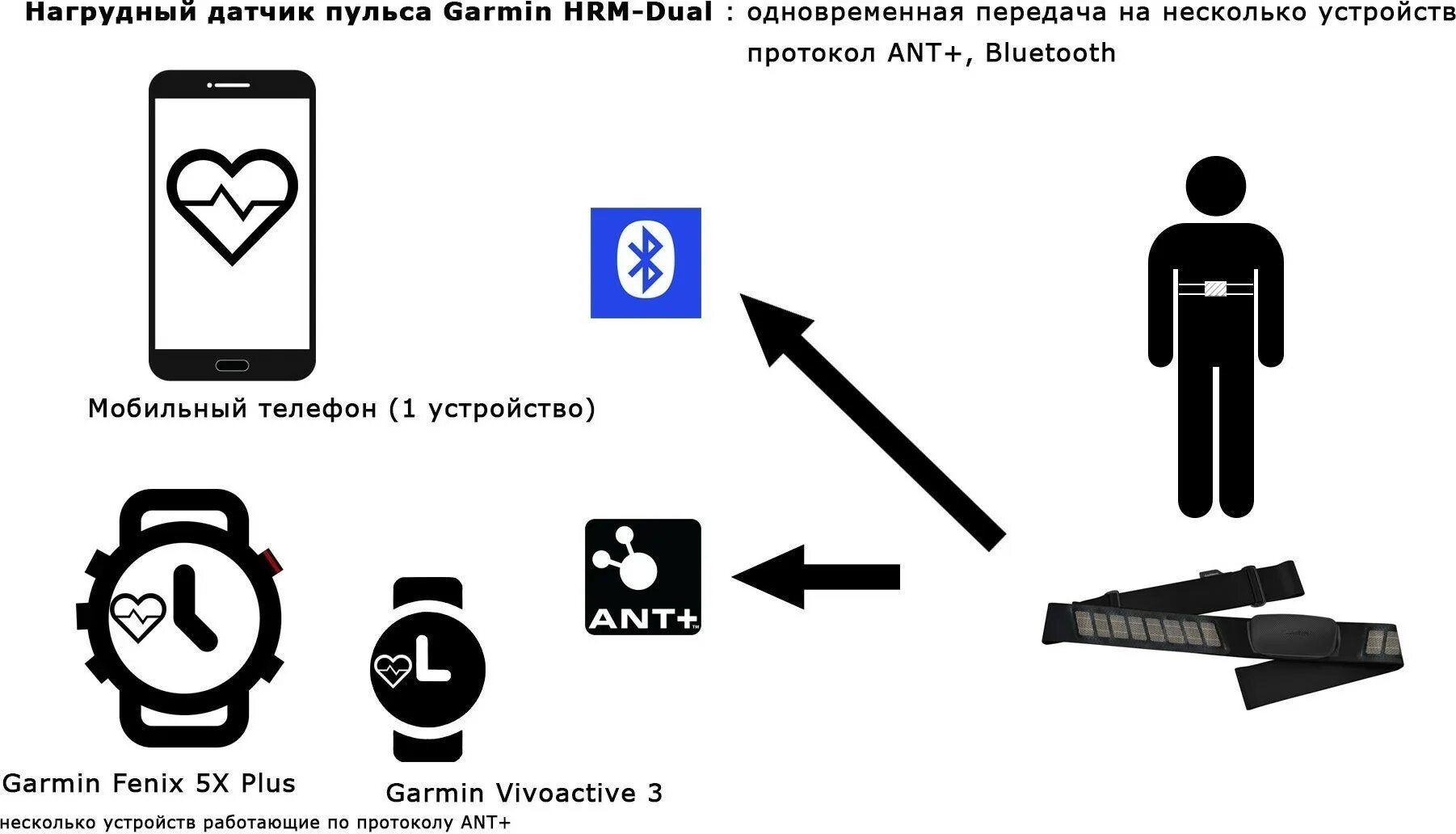 Подключение нагрудного датчика к amazfit balance Обзор GARMIN HRM-DUAL. Нагрудный пульсометр со сдвоенным датчиком