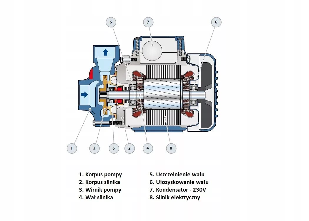 Подключение насоса pedrollo 65LO насос pkm 65 0 , 5kw / 230v 50l 5 , 5bara pedrollo купить по цене 26681 руб