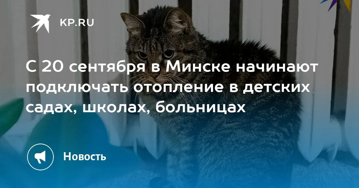 Подключение отопления минск С 20 сентября в Минске начинают подключать отопление в детских садах, школах, бо