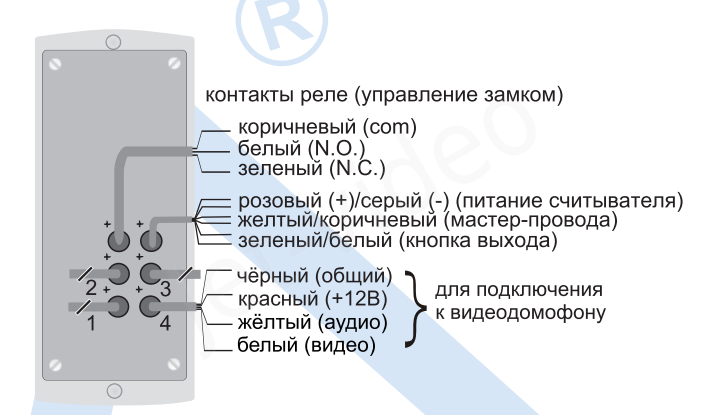 Подключение панели activision AVP-454 (PAL) TM Вызывная панель Activision, Компания Jet-Video, г. Москва