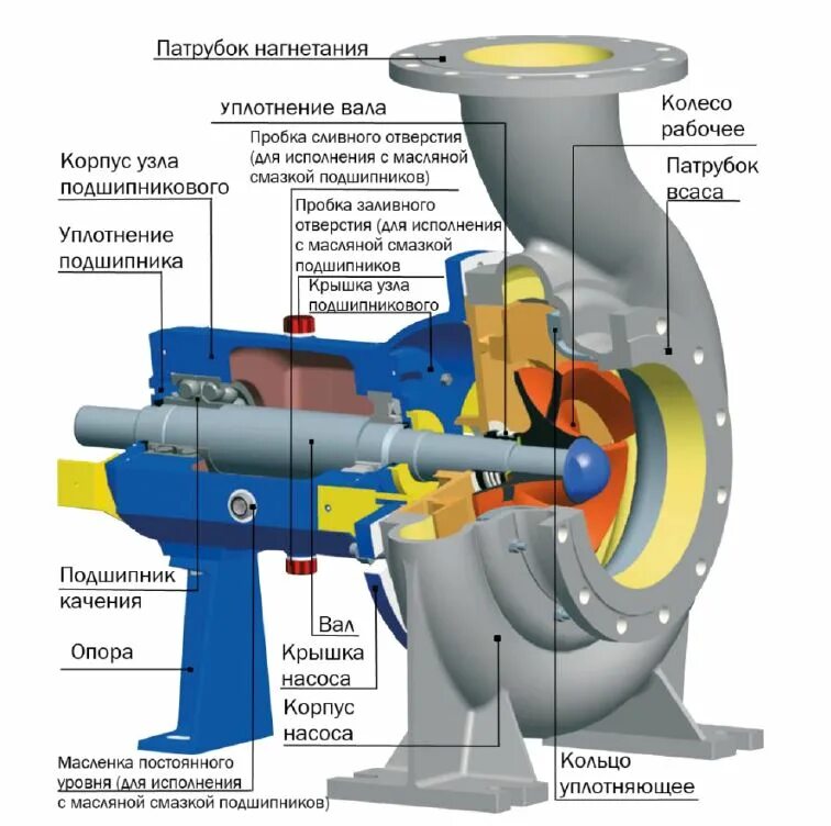 Подключение поверхностного центробежного насоса Новости CNP Aikon: работа в ERP, замена CHL, CHLF, CHLF(T), обзор консольного на