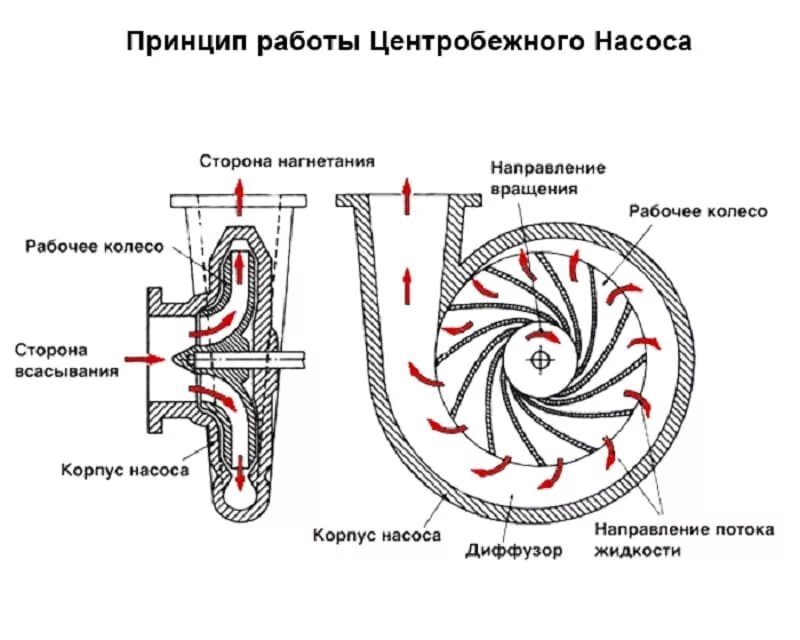 Подключение поверхностного центробежного насоса Чертеж центробежного насоса, особенности агрегата