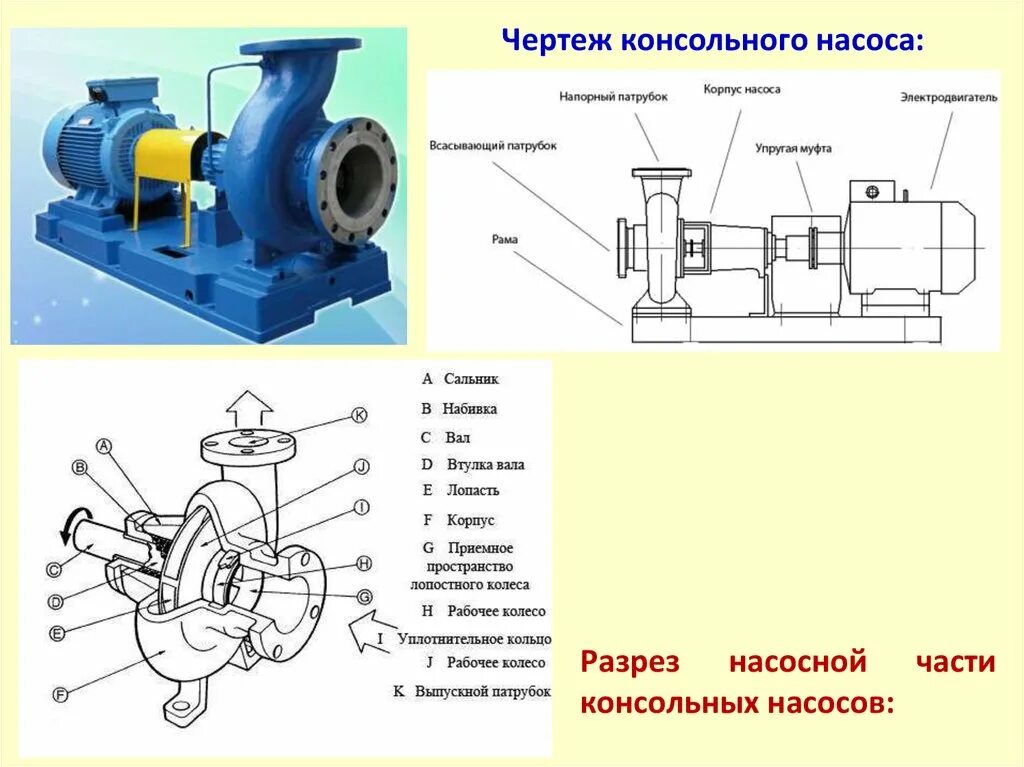 Подключение поверхностного центробежного насоса Назначение насоса фото - DelaDom.ru