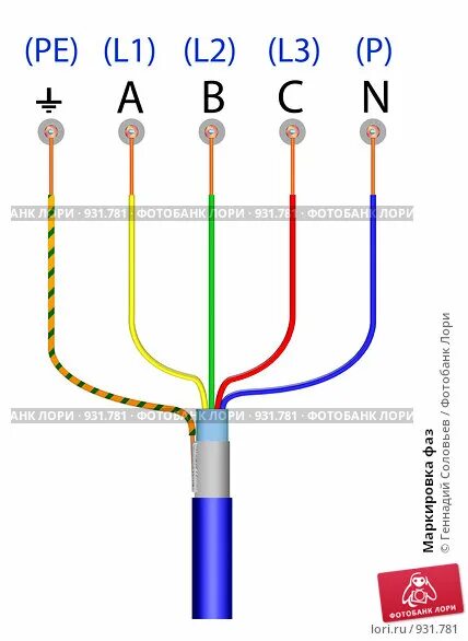 Подключение проводов по цветам фаза Маркировка фаз. Стоковая иллюстрация № 931781, иллюстратор Геннадий Соловьев / Ф