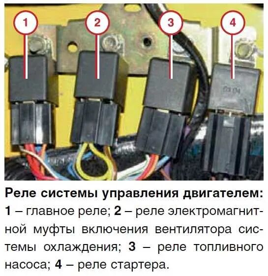 Подключение реле бензонасоса газель Диагностический разъем Газель Бизнес УМЗ 4216: местонахождение и особенности.