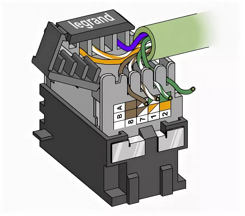 Подключение розетки rj45 schneider Ответы Mail.ru: Как снять розетку со стены интернет подключить витую пару?