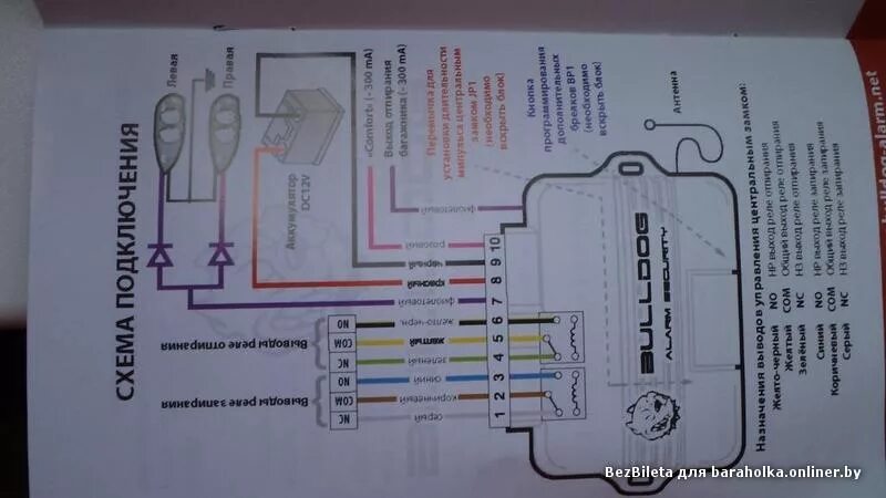 Подключение сигнализации альфа Модуль Управления Цз - Электрооборудование - Форум Golf 3 Club