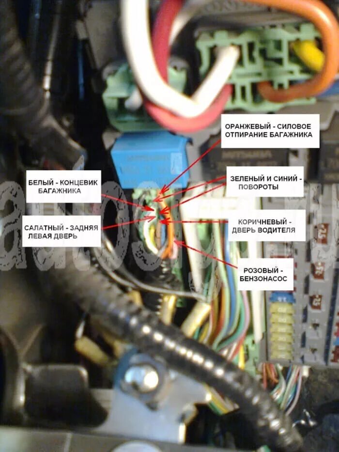 Подключение сигнализации хонда аккорд Установка сигнализации на Honda Accord 2008-2012 - подключение автосигнализации 