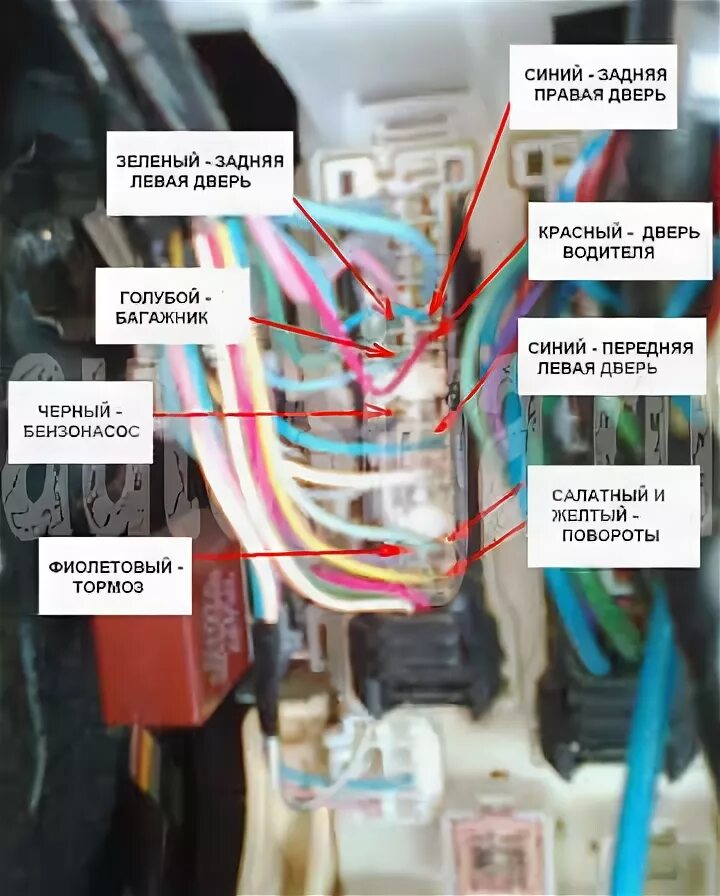 Подключение сигнализации тойота виш Установка автосигнализации на Toyota Vitz 2006-2009