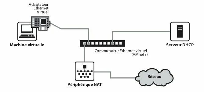 Подключение sun ray 3 к vmware Le réseau NAT Serveur, Informatique, Périphérique