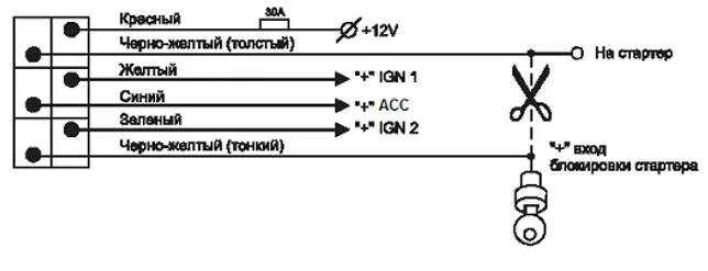Подключение томагавк к замку зажигания Схема подключения томагавк 9010: установка сигнализации своими руками