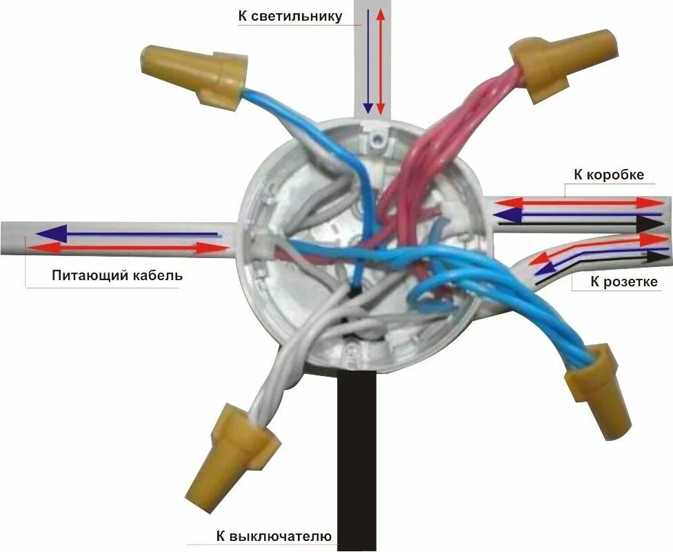 Подключения проводов в коробке на лампочку Пин на доске мастерская Розетки, Электрика, Электрические щитки