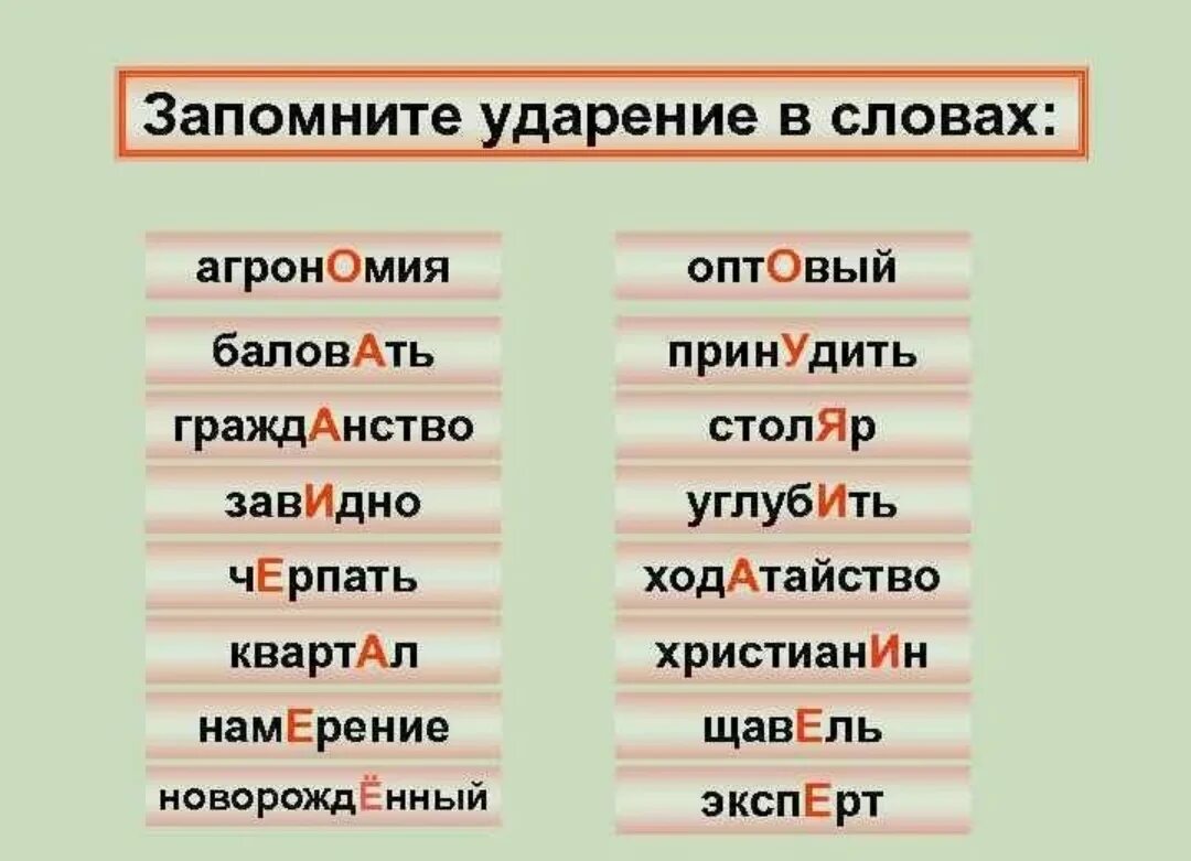 Подключит или подключит ударение как правильно Назвала ударение - блог Санатории Кавказа