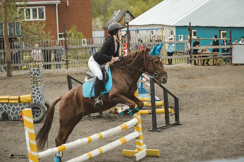 Подкова московская ул 1 д василево фото Konny klub Zolotaya podkova, horse riding, Novokuznetsk, Predmostnaya ulitsa, 6 