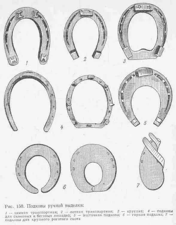 Подковы для лошадей старинные фото и описание Подковы - Крымская война - 1854-56 годов - Форум антиквариата Крыма