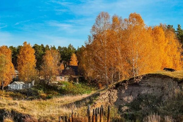 Подмосковье октябрь деревня природа фото Autumn in the village. Photo by: Pavel Vasilev 2022 Ехала деревня VK