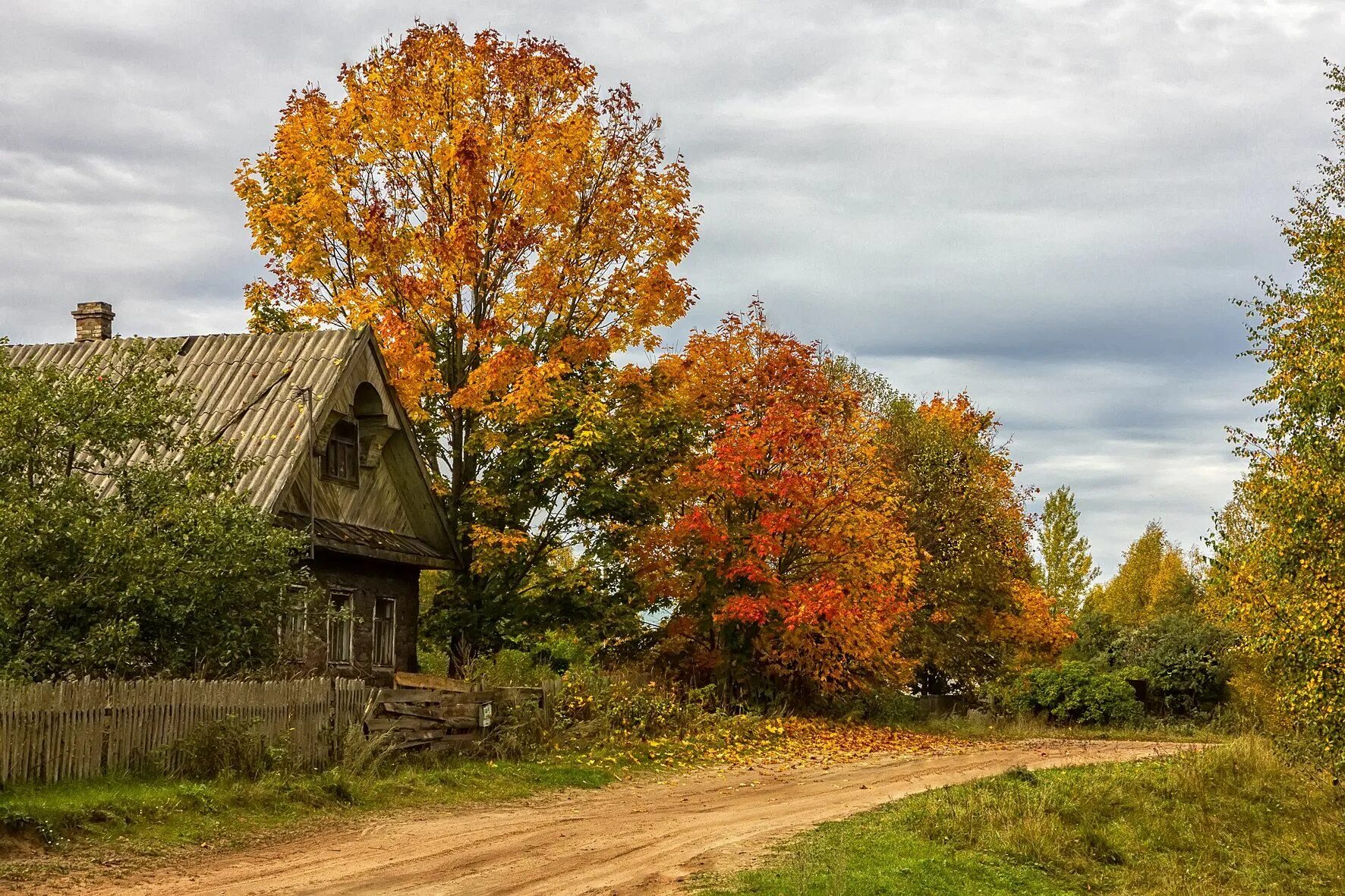 Подмосковье октябрь деревня природа фото Golden autumn in a typical Russian village Autumn landscape, Landscape artist, L