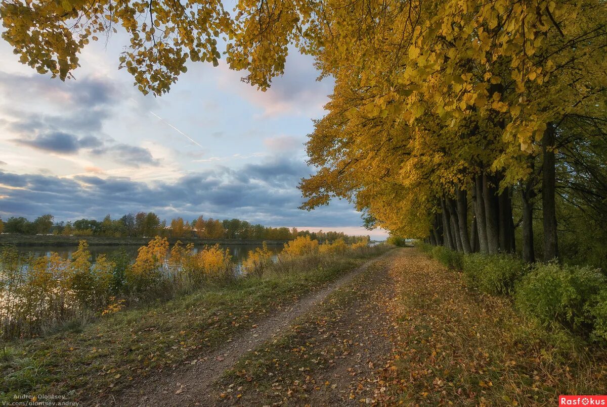 Подмосковье сентябрь природа фото Фото: Осень... Пейзажный фотограф Андрей Олонцев. Пейзаж - Фотосайт Расфокус.ру