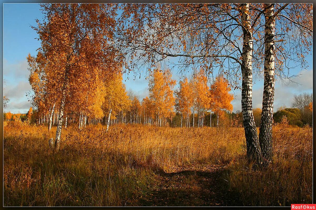 Подмосковная природа в сентябре фото Осенний табор Оскар Грачёв. Лирософия Дзен