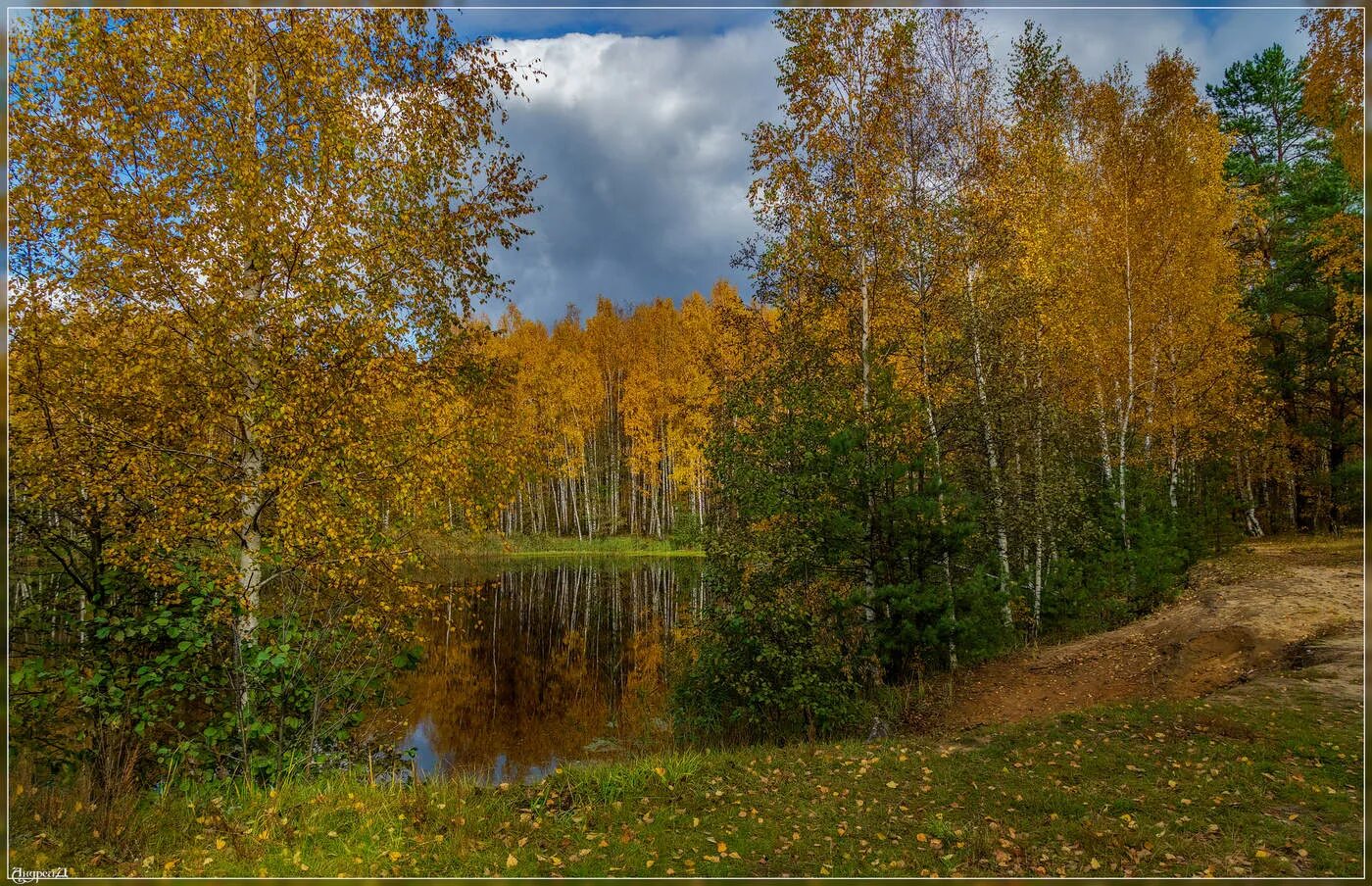 Подмосковная природа в сентябре фото Начало Октября в Подмосковье 6 / Начало Октября в Подмосковье 6 / Автор: Дворник