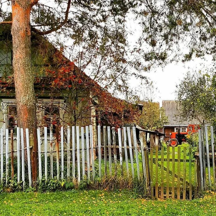 Подмосковные деревни фото Village Popovka, Solnechnogorsk district, Moscow region, Russia. Garden arch, In