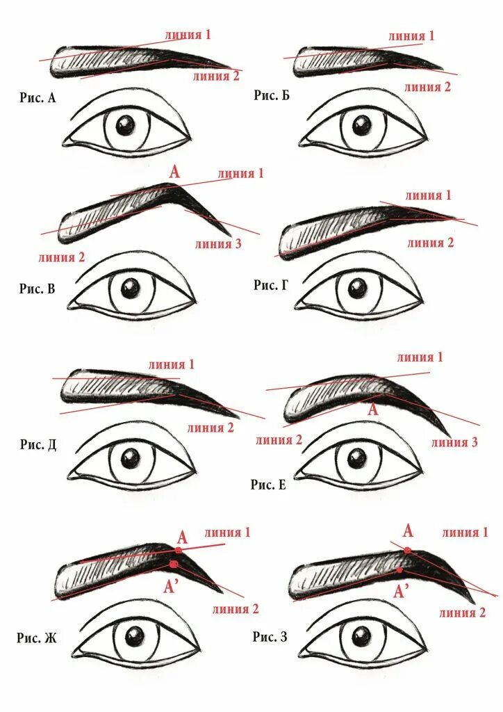 Подобрать форму бровей по фото Как объяснить форму бровей - журнал 13malyshok.ru