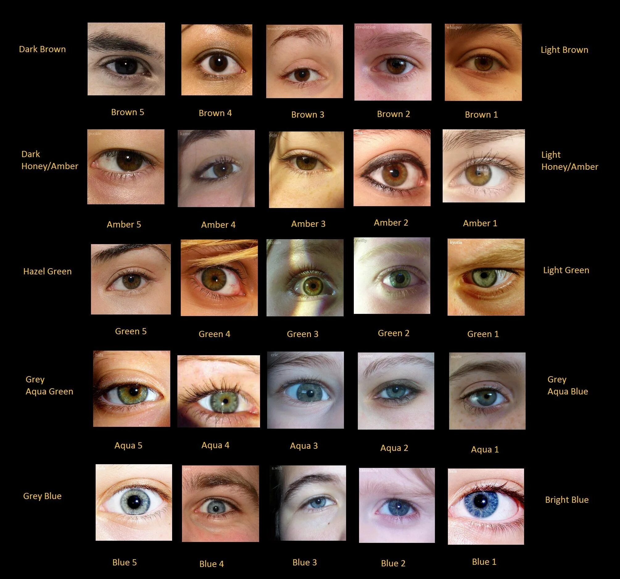 Подобрать цвет глаз онлайн по фото Eye colour chart with photos of real eyes. Eye color chart, Eye color, Rare eye 