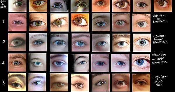 Подобрать цвет глаз онлайн по фото Range of Possible Eye Colors a Person Can Have - Imgur