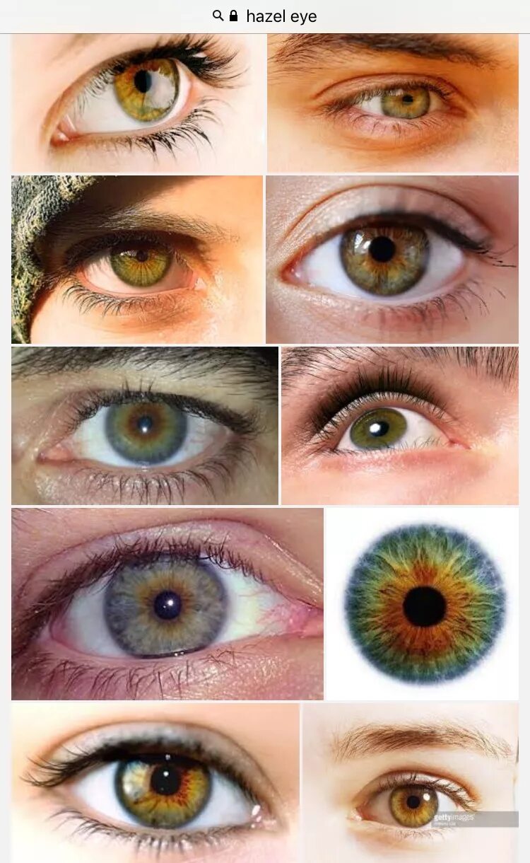 Подобрать цвет глаз по фото Shades Of Green Eye Color Chart DB7