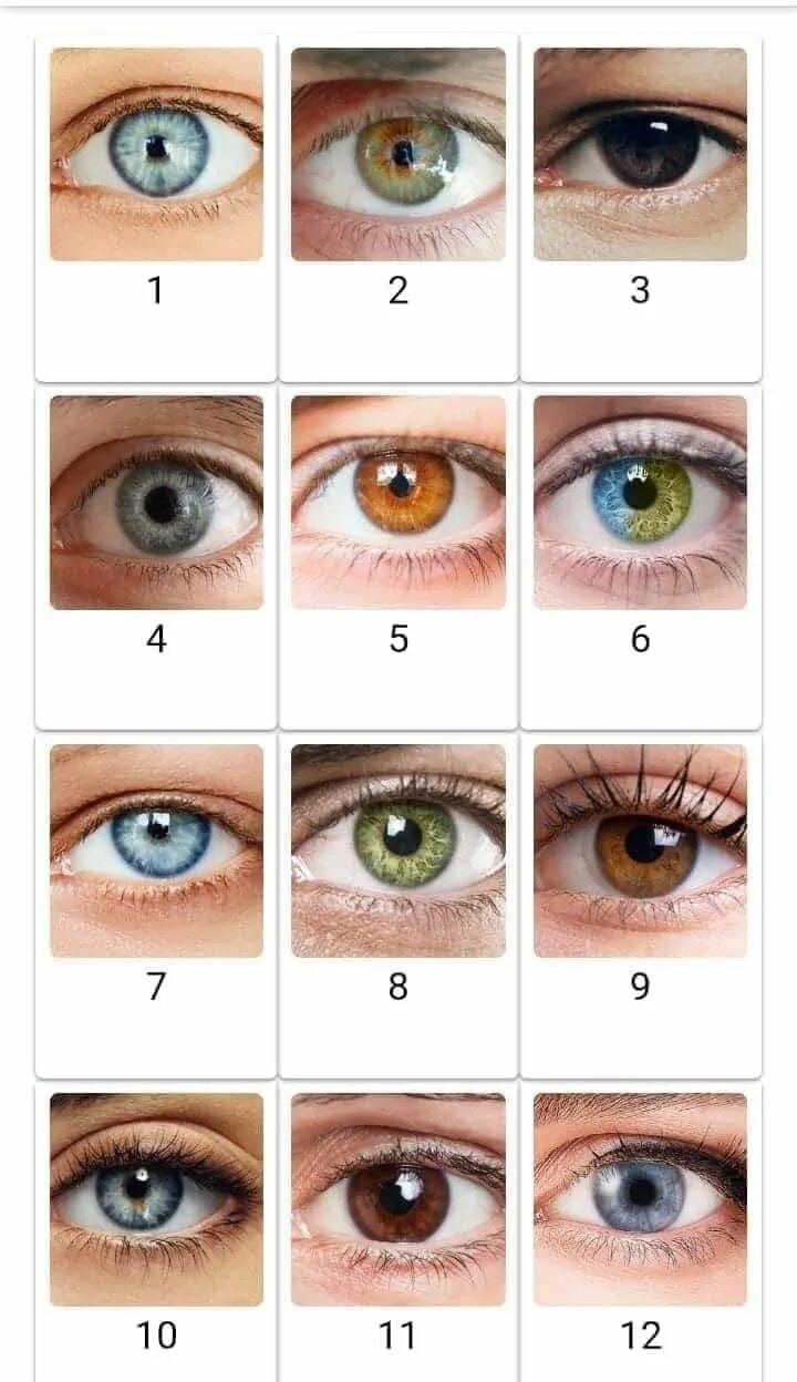 Подобрать цвет глаз по фото Pin by Yessy Maa on Cosas que adoro Eye color, Twin flame art, Eye color chart