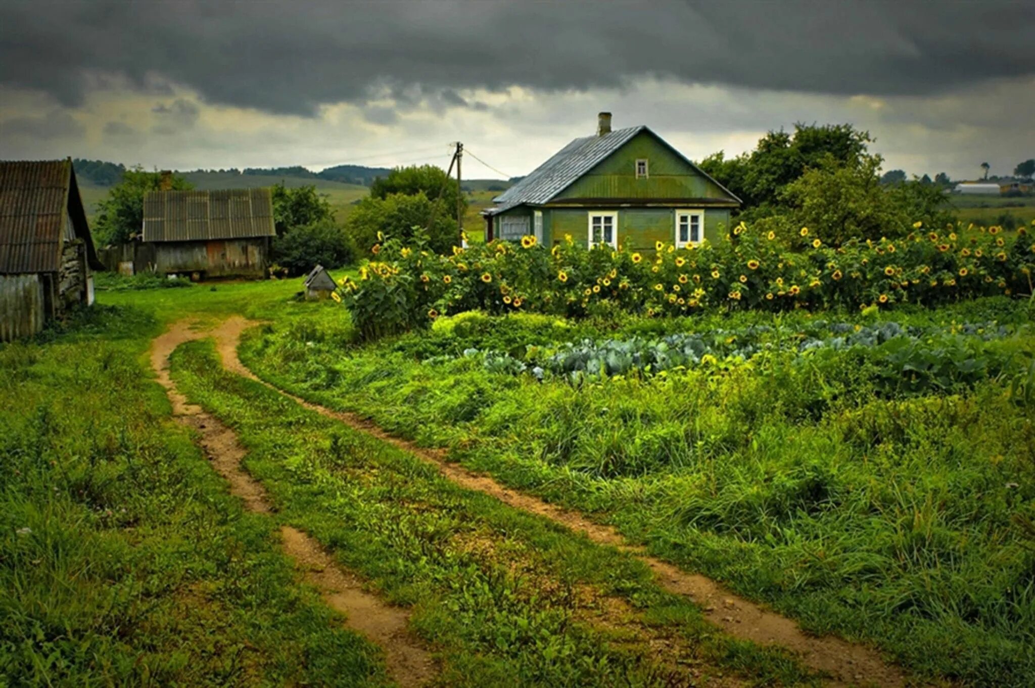 Подпись фото в деревне Конкурс рисунков "Вот моя деревня, вот мой край родной" 2022, Тюлячинский район 