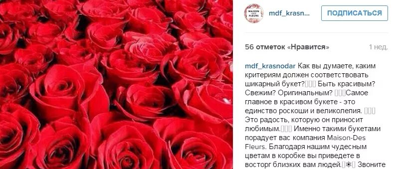 Подпись к фото на работе Как подписать фото в Инстаграм