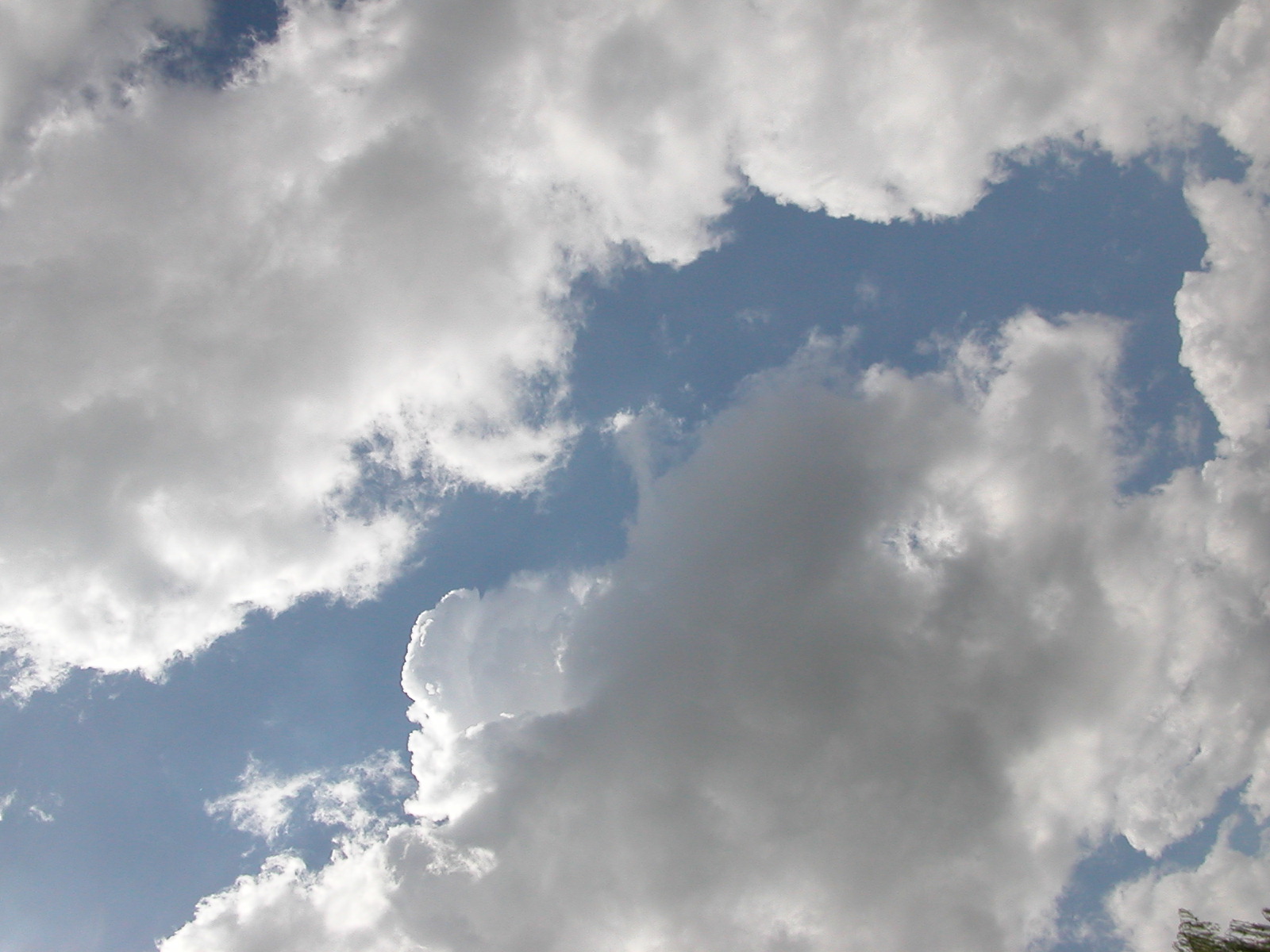 Beautiful white clouds in the blue sky Desktop wallpapers 640x960