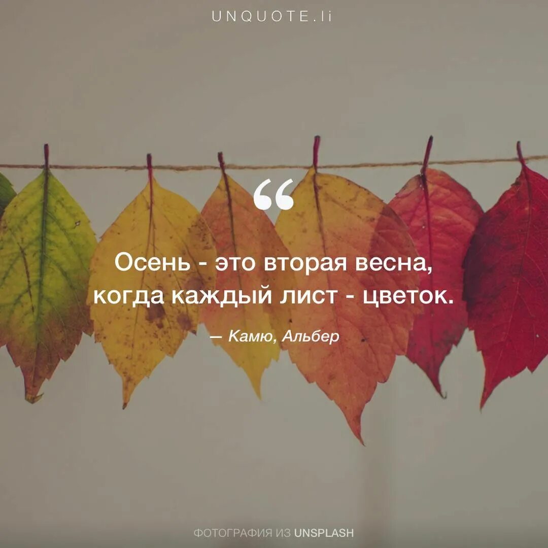 Подпись к фото про осень Камю, Альбер "Осень - это вторая весна, когда каждый лист - цветок." Цитаты для 