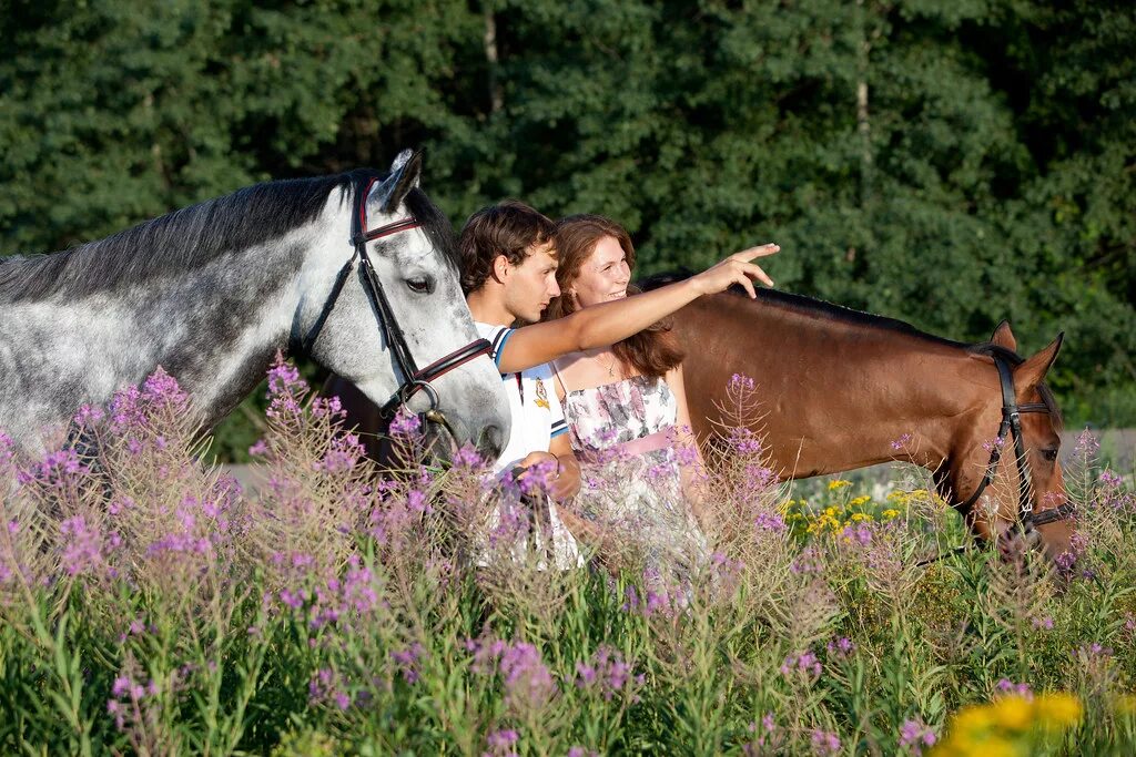 Подпись к фото с лошадью Лошади КСК Левадия, конные прогулки, horses, walks on hors. Flickr