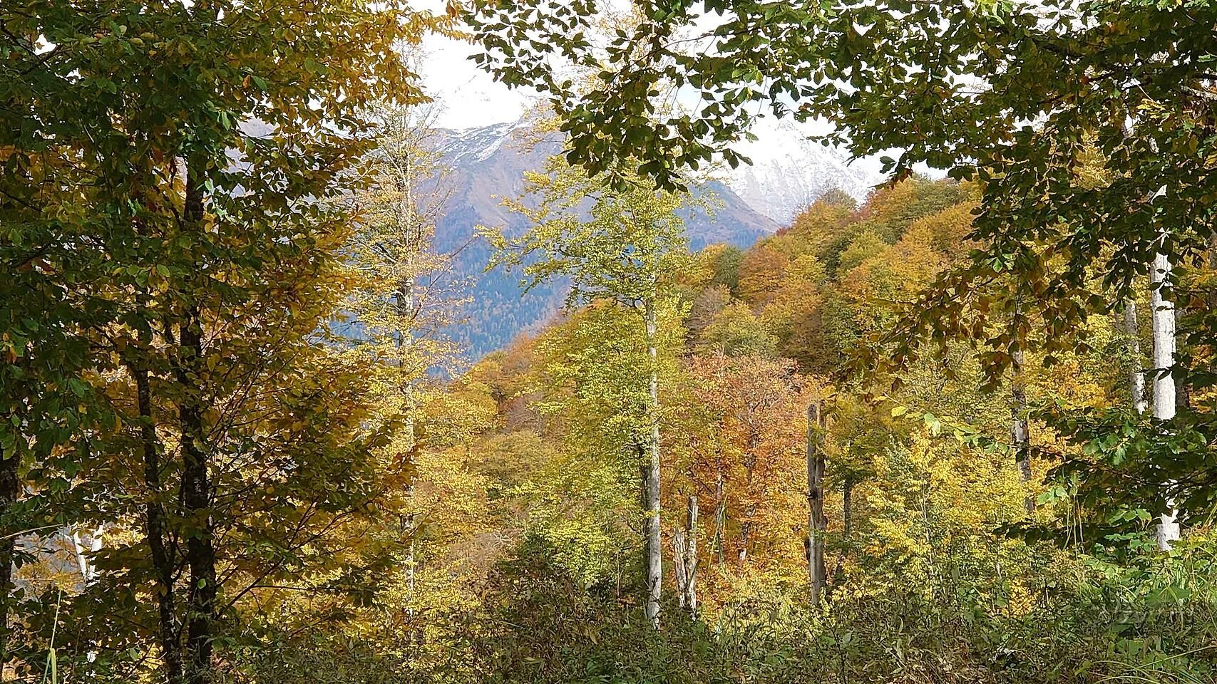 Подпись к фото сочи осень солнце Почему Сочи - рассказ от 02.11.22