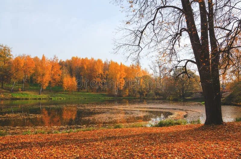 Подпись к фото теплый сентябрь Красивая сцена осени Landscapeserene природы спокойствия осенью с деревьями и зе