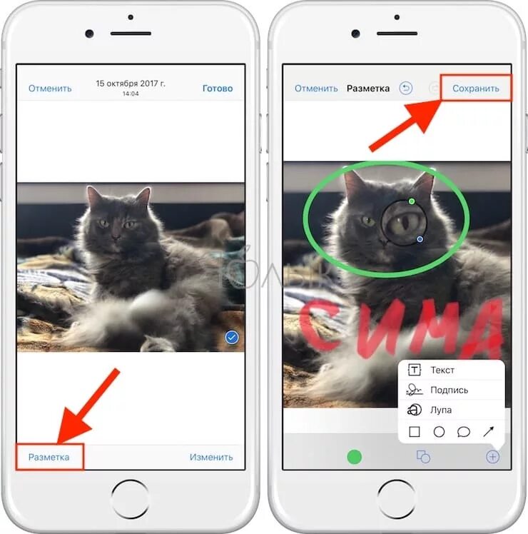 Подпись на фото на айфоне Add text, shapes, and captions using markup on iPhone. Write and paint on photog