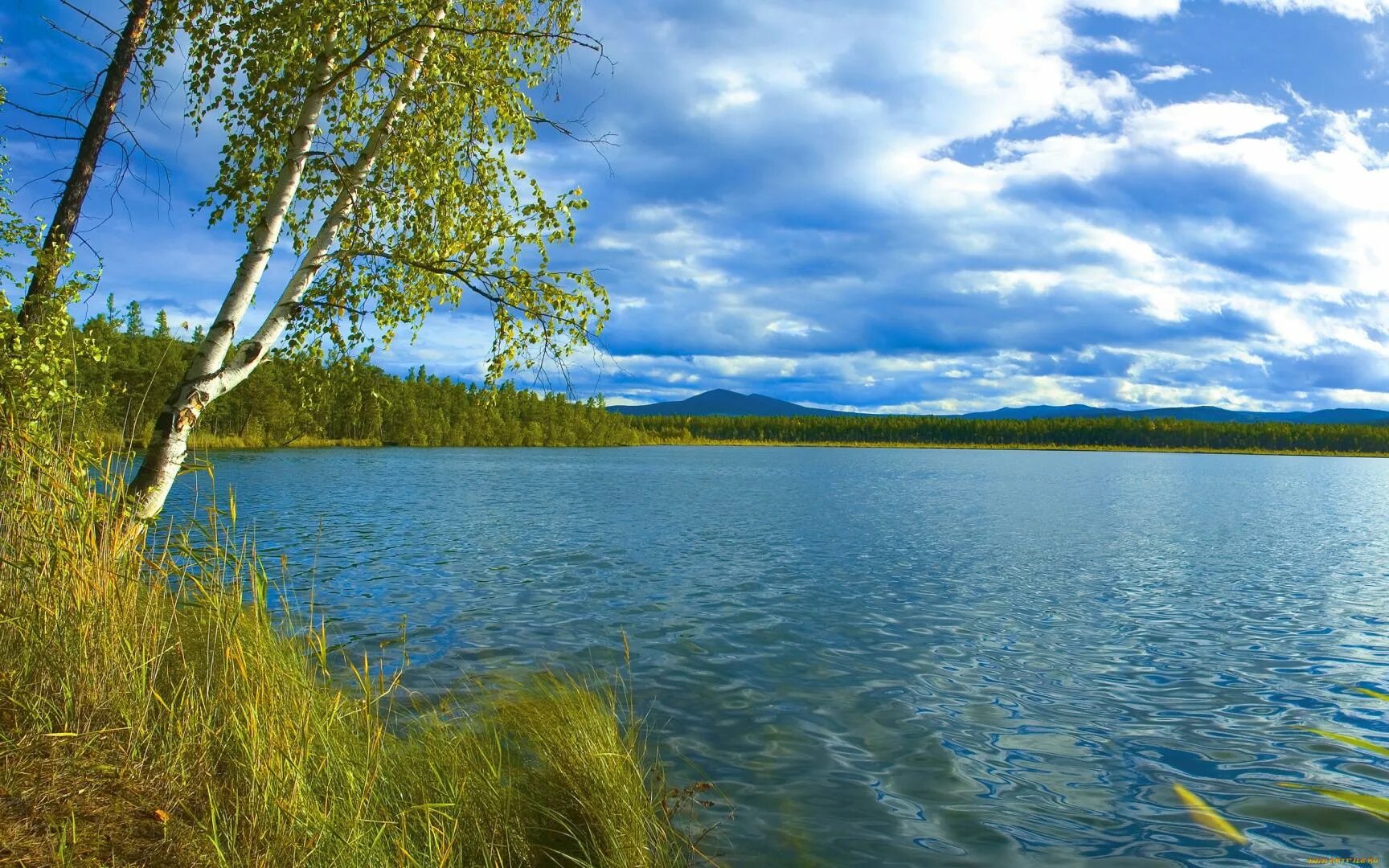 Подписать фото на озере МЦБ Сызранского района Новости