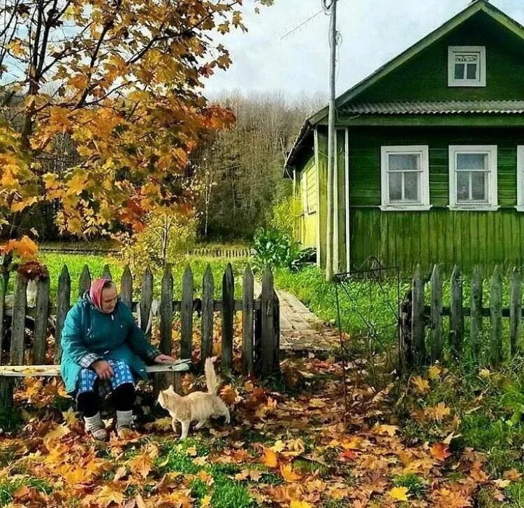 Подписать фото про деревню Russian village life Пейзажи, Сельские виды, Живописные пейзажи