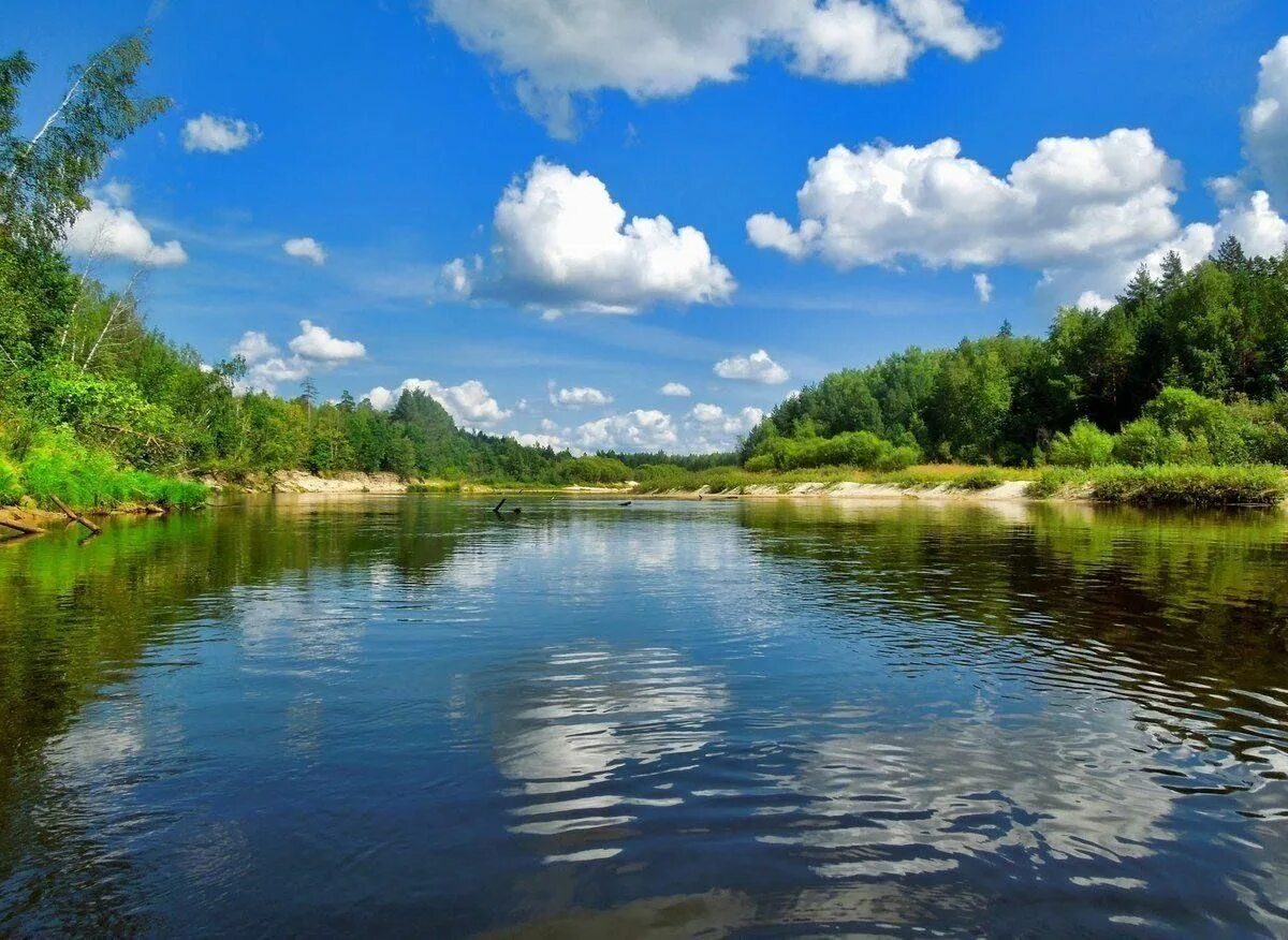 Подписать фото реки Викторина международный день рек 2024, Тукаевский район - дата и место проведени