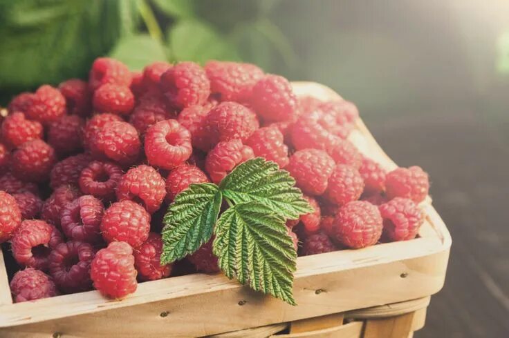 Подписать фото с малиной Buying Better Raspberries by Daris Howard Meridian Magazine - LDSmag.com My chil